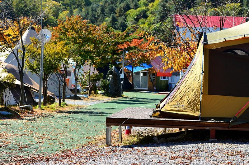 풀문캠핑앤글램핑리조트 시설 사진 13