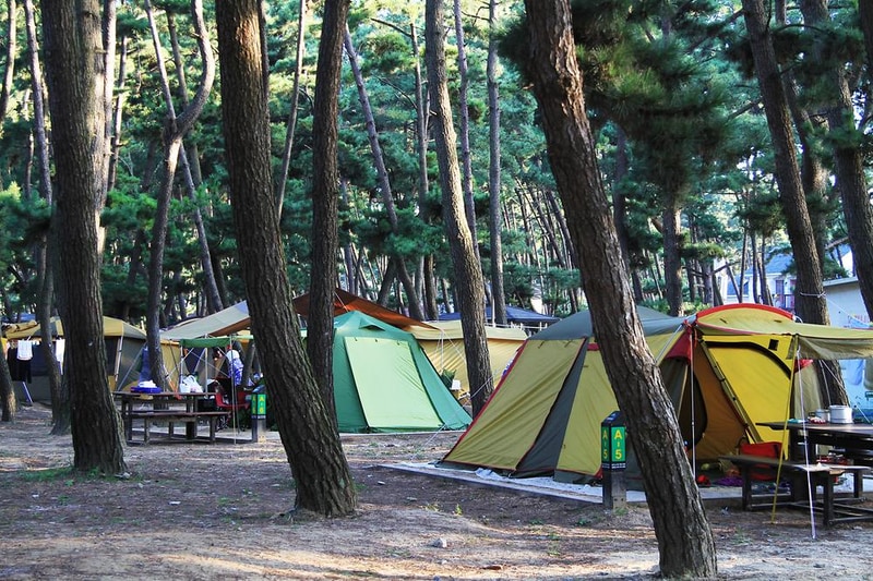 몽산포 자동차 야영장 시설 사진 12