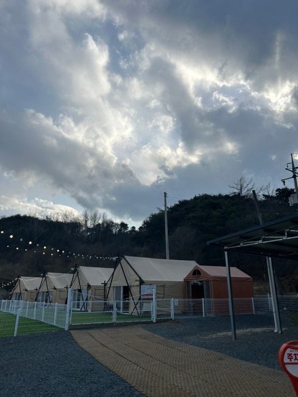 청도 신난다 애견 글램핑 노협찬 내돈내산 후기