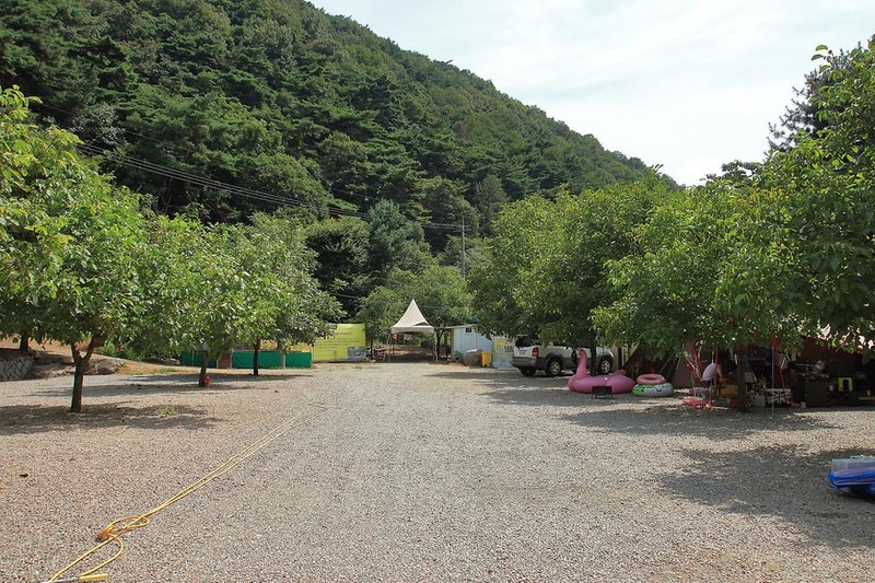 호두나무캠핑장 시설 사진 12