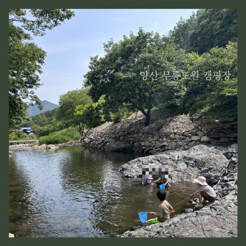 부산 근교 양산 원동 계곡 있는 | 무릉도원 캠핑장 | 아이랑...