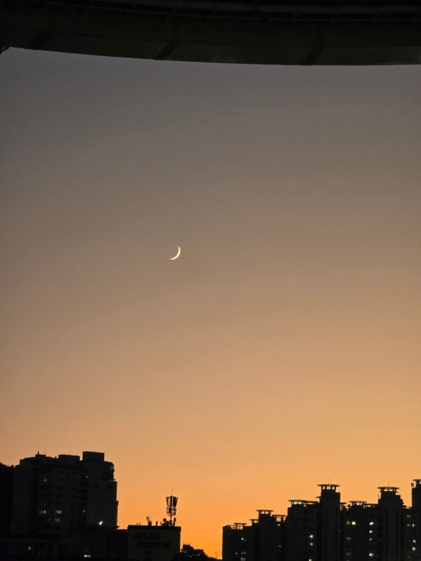 부산 영도마리노 오토캠핑장 부산항대교 32번 사이트