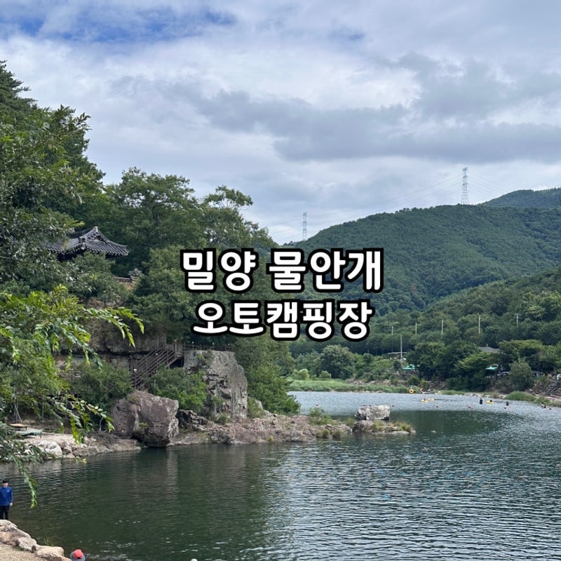 경남/밀양 물안개 오토캠핑장 부산 근교 당일치기 계곡...
