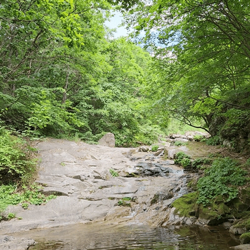 포천 국망봉자연휴양림캠핑장 사이트D 둘레길 산책코스 추천