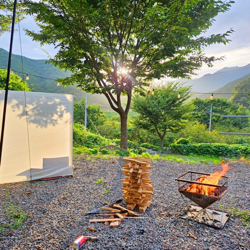 플러스 우중캠핑 '고령 힐링오름캠핑장' 애견동반 2박3일 후기