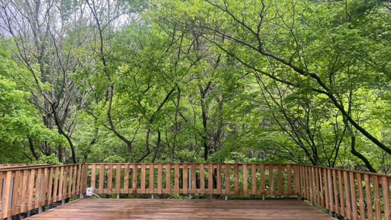 평창 산마을풍경캠핑장, 개인화장실이 있는 데크 10번