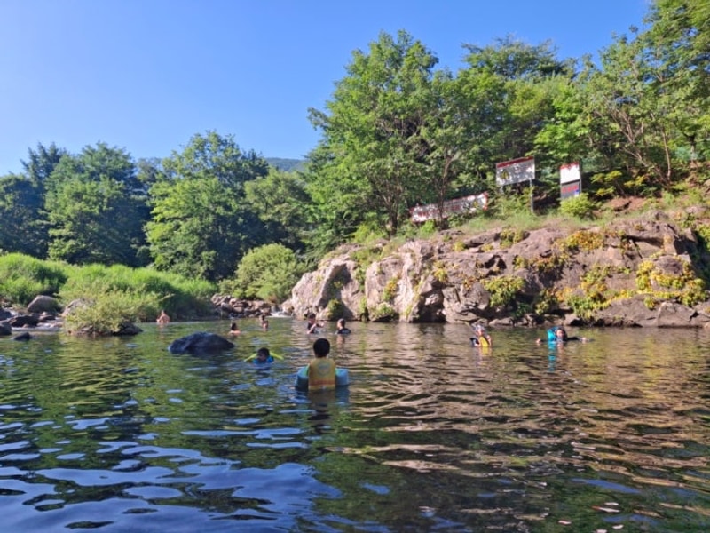 [가평 계곡캠핑장] '백자동캠핑장' A2 사이트, 계곡, 매점 가격...