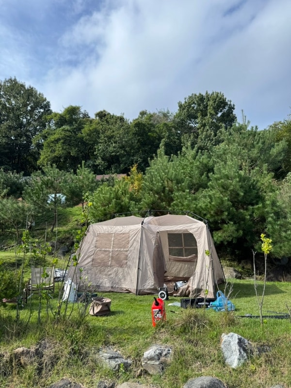 세종 풍성채 캠핑장 A9 사이트 후기 명당자리 추천