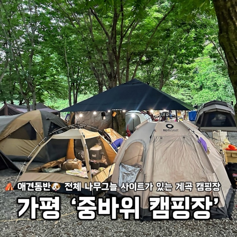 가평 중바위캠핑장ㅣ내돈내산 솔직 후기 애견동반 가능 + 계곡...