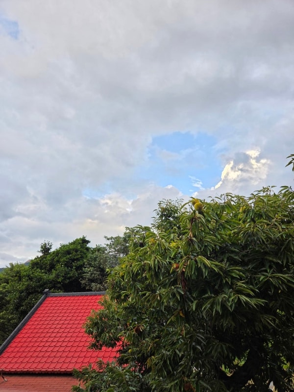 경기도 양주 봄이오는 캠프 아가랑 당일 가을캠핑