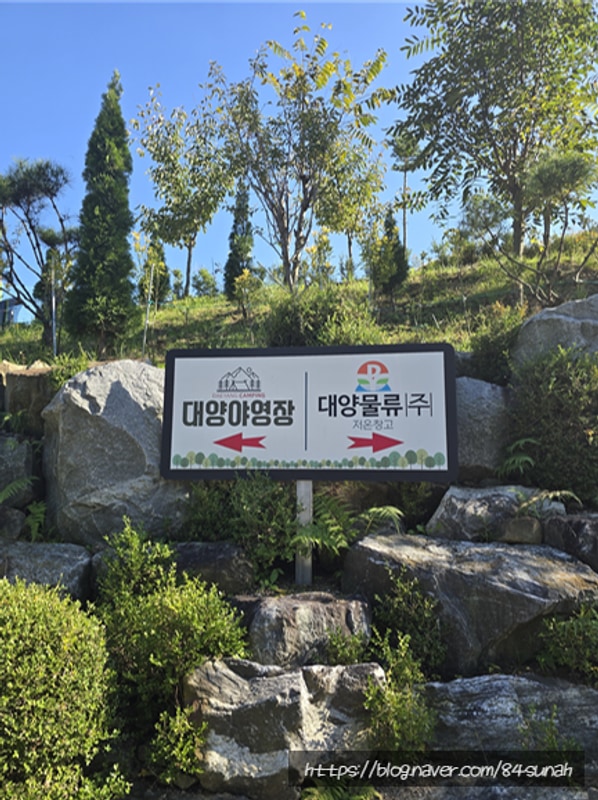 대구 근교 캠핑장 추천 / 칠곡 대양캠핑장(대양야영장) 실제...