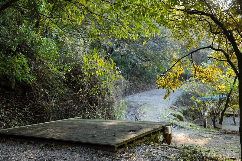 돈내미농장 시설 사진 16