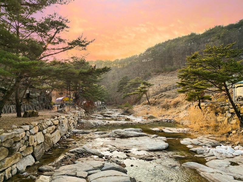 소나무세상 시설 사진 6