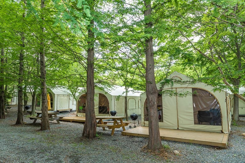 노꼬담꼬 시설 사진 17