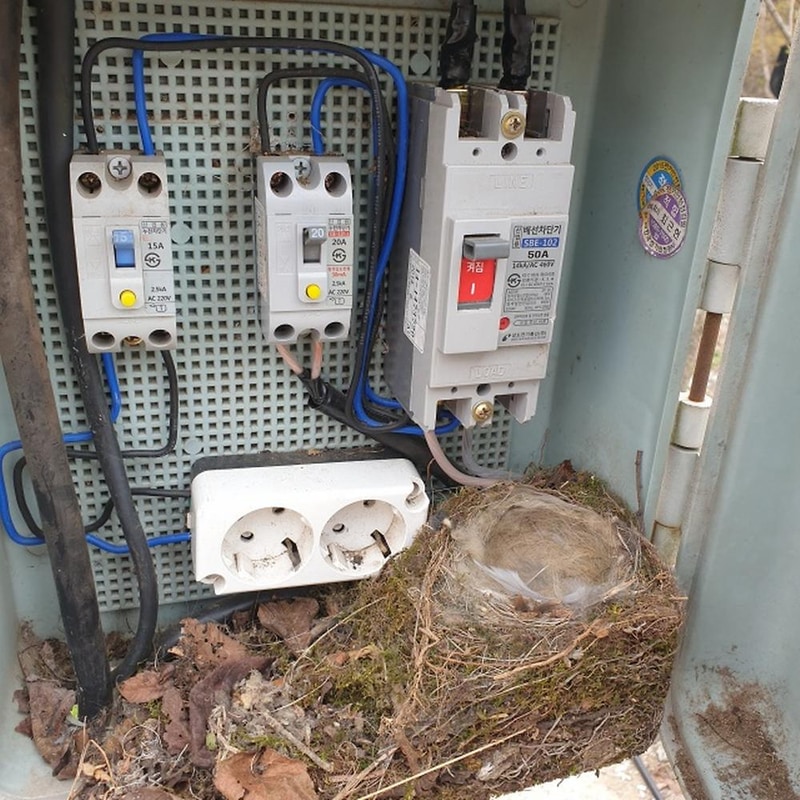 카우보이 캠핑장 시설 사진 32