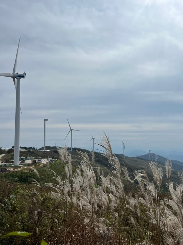 여름과 가을의 한 가운데 평창 글램핑 (뇌운계곡글램핑)
