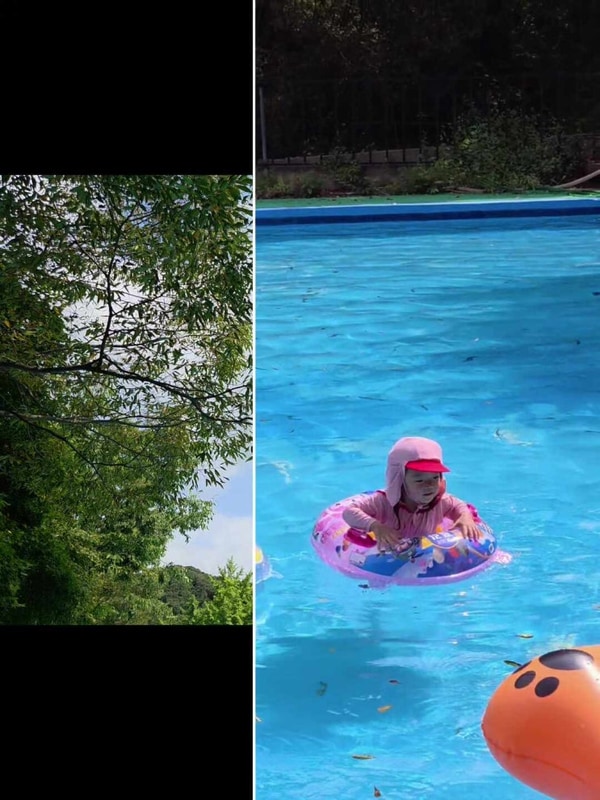 [안성]안성캠핑장 아이들과 금광 관광농원 캠핑장