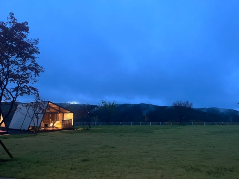 경주 리틀포레스트에서 정신사나운 글램핑