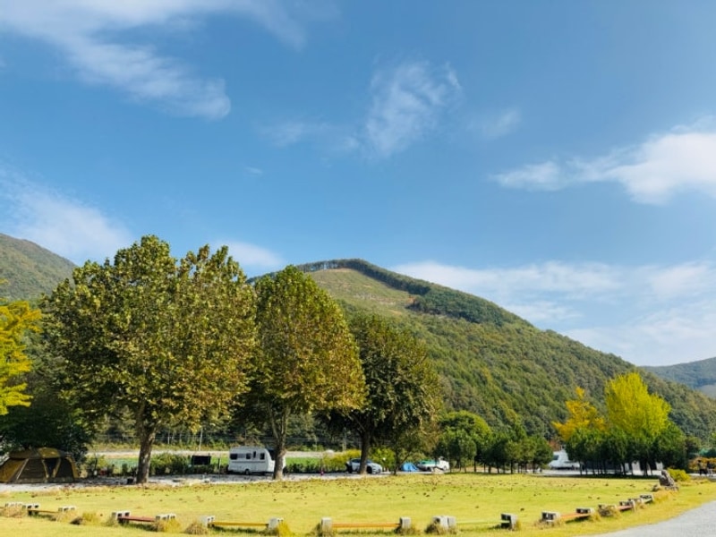 1025 오손도손캠핑장
