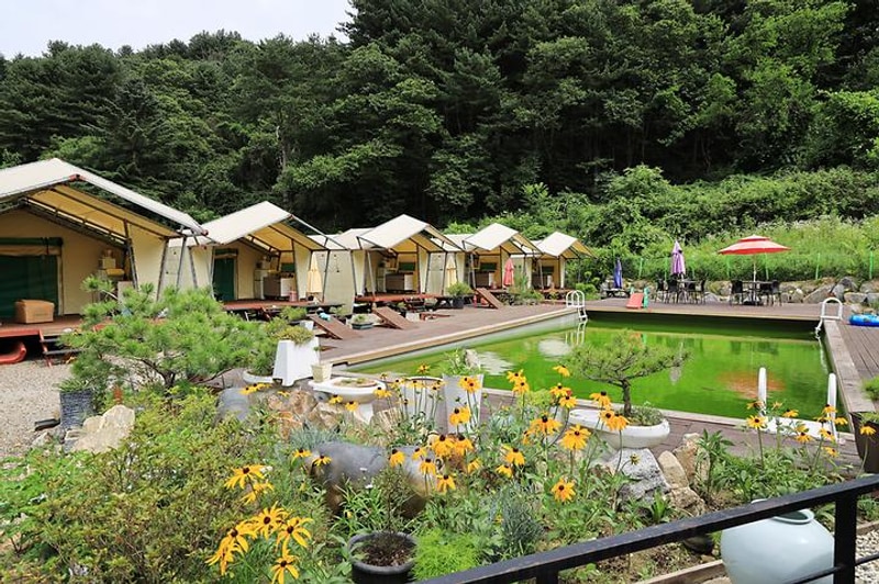 산유리캠핑장 대표 사진