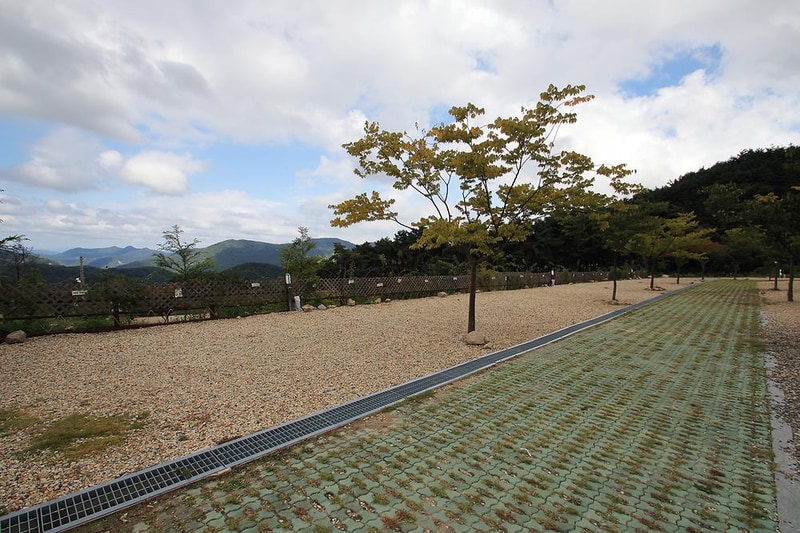 한티별빛아래관광농원 야영장 시설 사진 2