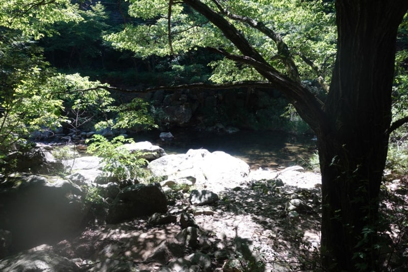 아인이와 캠핑/ 덕동계곡 오토캠핑장/ 그늘, 계곡, 자연 다...