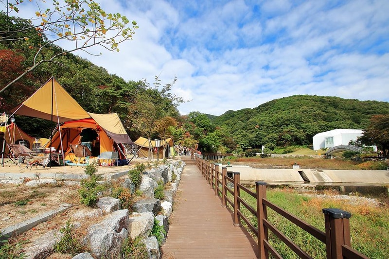 양주시 미술관옆 캠핑장 시설 사진 2