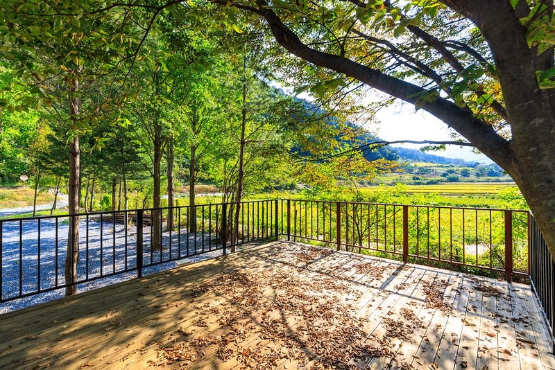 포레스트힐링캠프 시설 사진 20