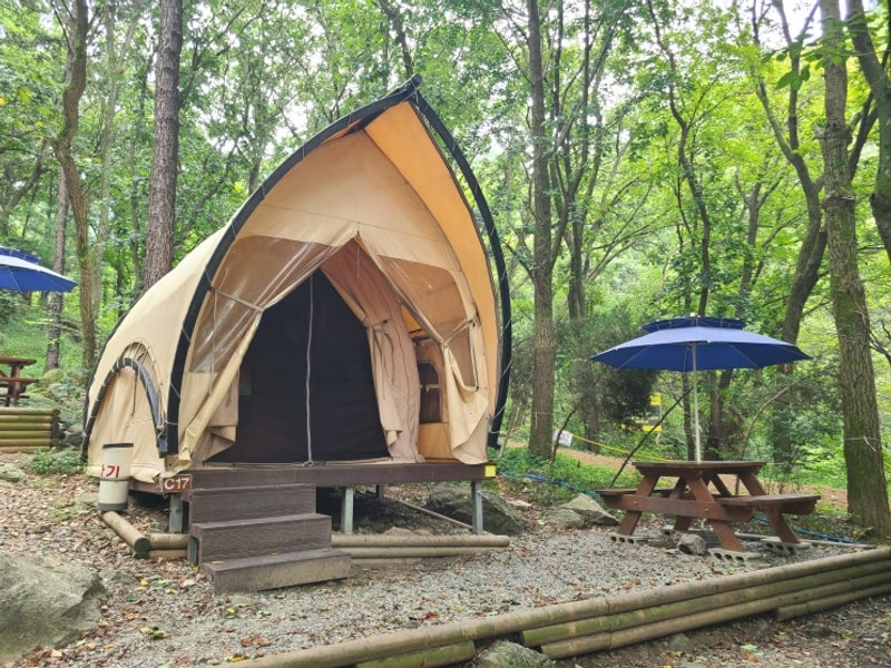 8월 안양 병목안캠핑장 #글램핑 C17