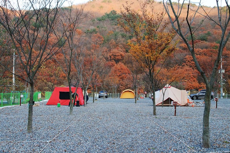 용천토리 오토캠핑장 시설 사진 9