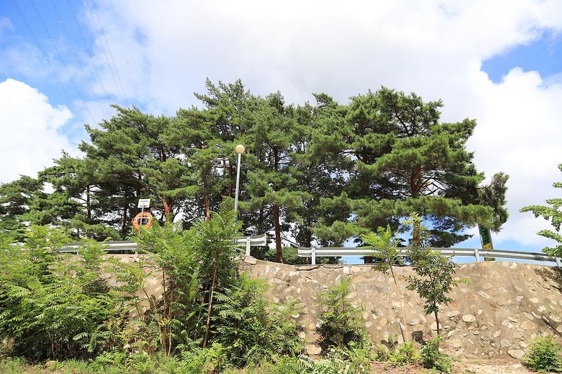 내평계곡캠핑장 시설 사진 14