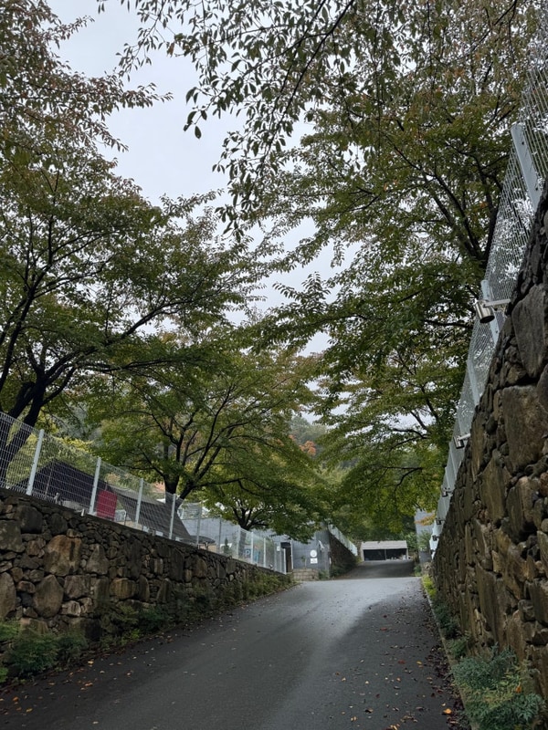 땡쓰네 "세번째 캠핑" 또 우중캠당첨    경주 산내면[캠핑포레스트]