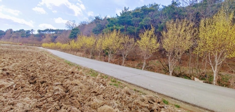 #충남서산시#해미면삼송리... 승마체험장#해미모꼬지캠핑장...