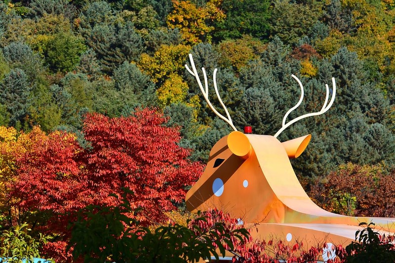 동물카라반 시설 사진 13