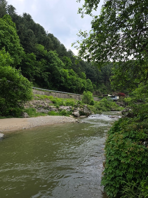 가평 캠핑장 추천, 계곡이 있는 개별 화장실 캠핑장 캠프스테이
