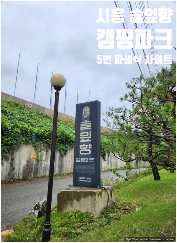 시흥 솔잎향 캠핑파크 5번 파쇄석 리뷰, 깨끗한 시설과 귀여운...