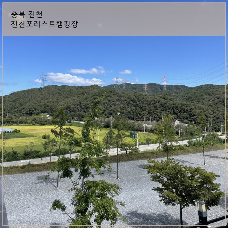 [ 진천포레스트캠핑장 ] 충북 진천 깨끗하게 관리된 키즈 캠핑장