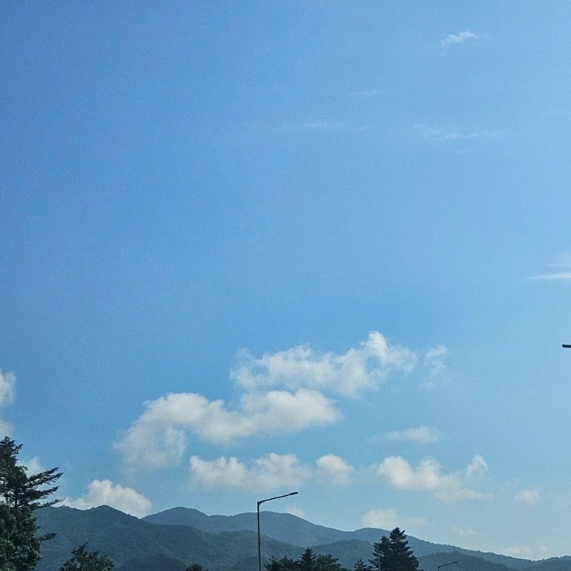 양양 별밤캠핑장