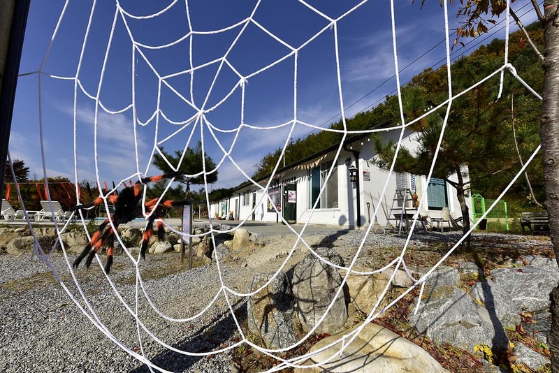 은빛물결캠핑장 시설 사진 1