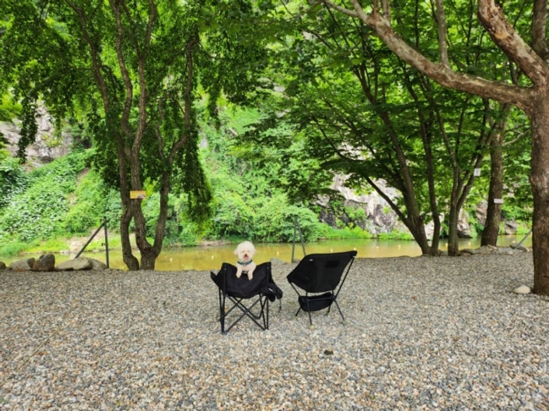 원주 봉바위돌집 캠핑장 5번 사이트 전사이트 그늘인 계곡캠핑장