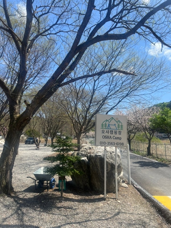 서울근교 가평캠핑 애견동반가능 계곡있는 조용한 오샤캠핑장...