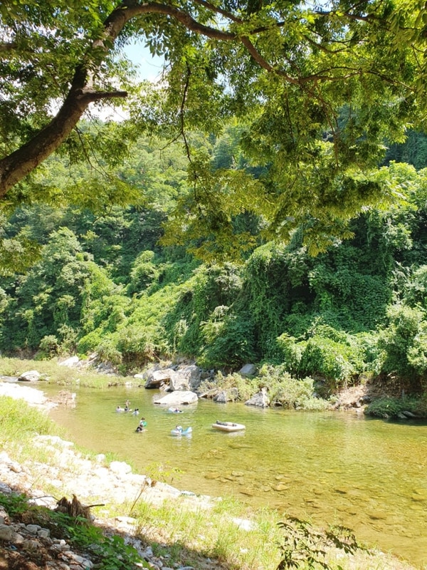 가평 청정캠핑장 수심 깊은 계곡 (반려동물 동반 가능)
