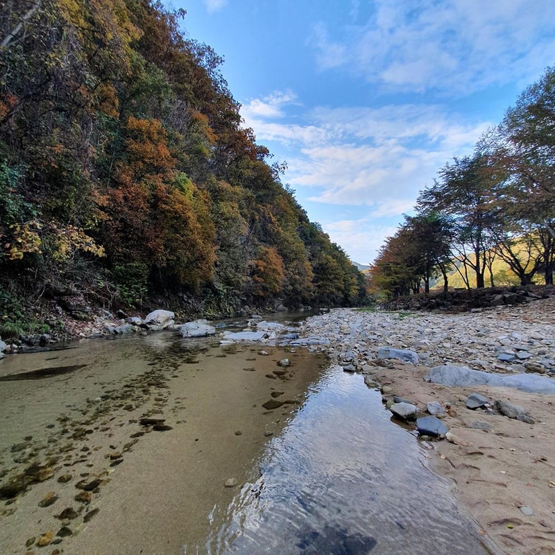 강원 홍천 알프스밸리 캠핑나라 글램독 시설 사진 4