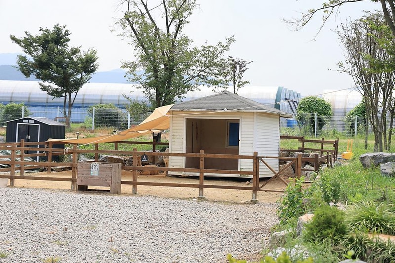 (주)캠핑야미 시설 사진 13