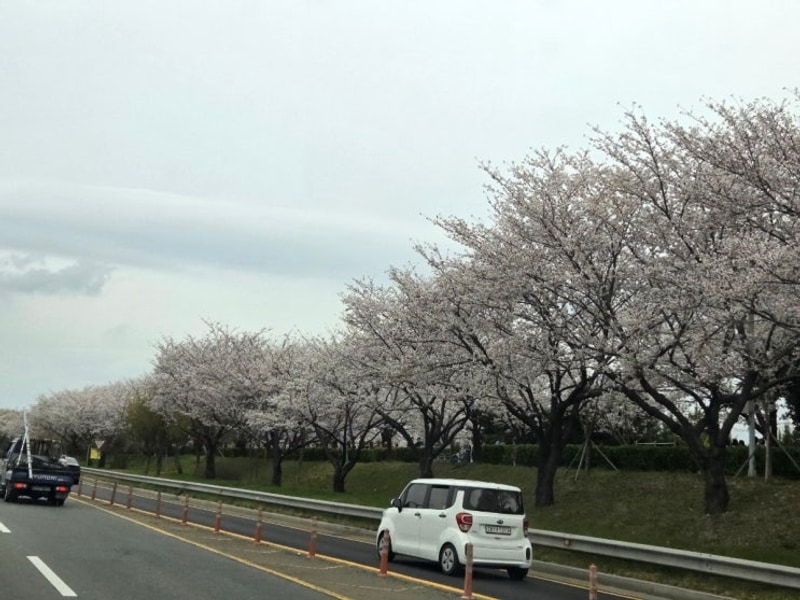 195번째 캠핑 - 청도 섶마리농촌체험휴양마을