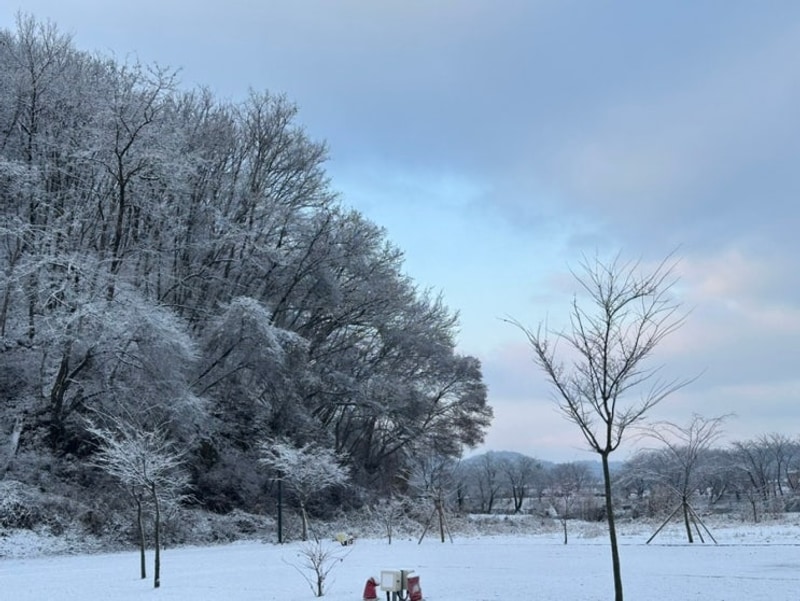 경기 파주 사이트 넓은 조용한 캠핑장 추천 : 두부삼촌캠프