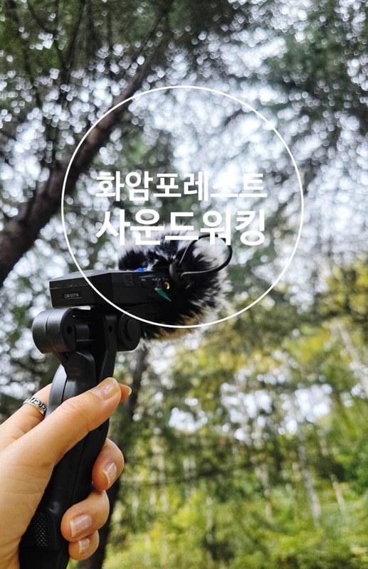 화암포레스트 사운드워킹 화암약수 야영장 캠핑까지 가을 정선...