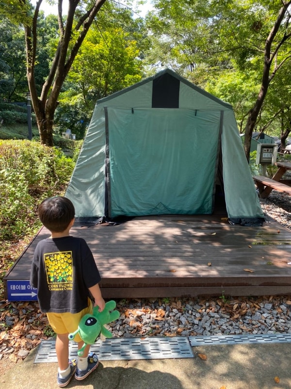 강동그린웨이 가족캠핑장_ 마로니에5 이용후기 (예약 후기 및...