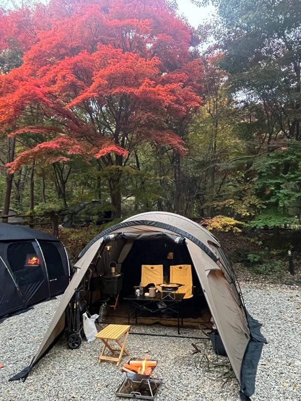 ️ 안양산마을캠핑장에서의 가을 캠핑!