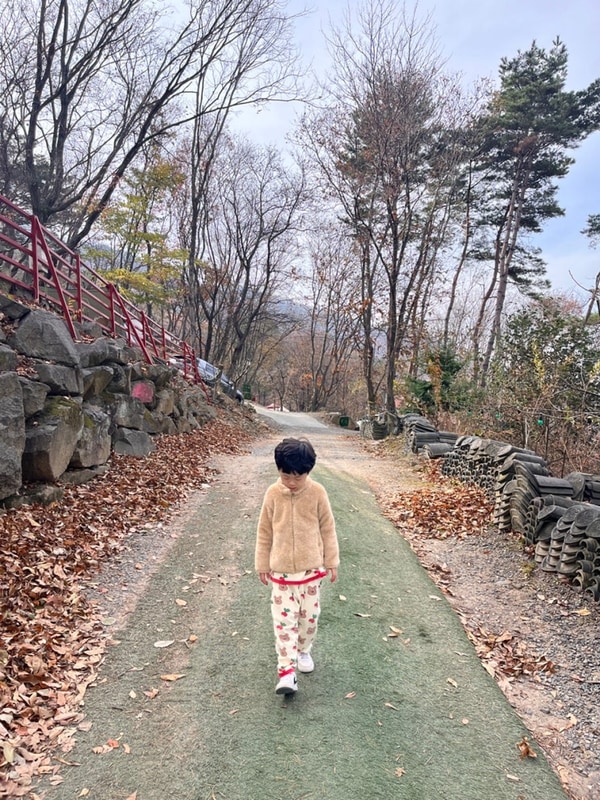 영천 보현산 별무리캠핑장 늦가을에 방문한 후기